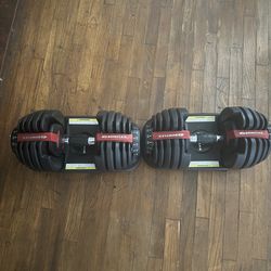 Bow flex weights free weights