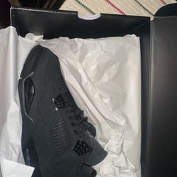 2025 Black Cat Jordan 4s 