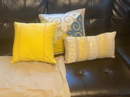 Echo throw pillows w/ two 26x26 pillow cases to match