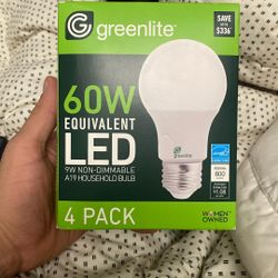 Bulb 60w Green lite