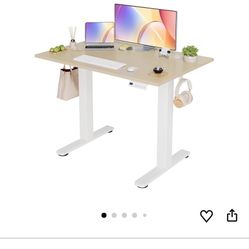Electric Desk 