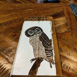 Spotted Owl Mixed Media Wall Art 