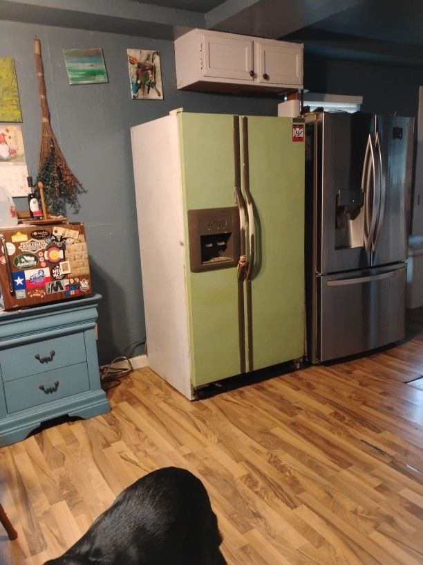 Wolf Fridge , Green Doors
