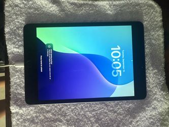 iPad Mini 4th & 5th Gen 256g