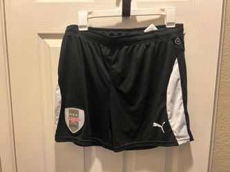 Albion soccer shorts