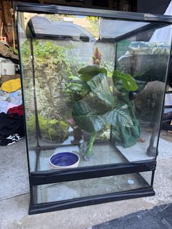 New Never Used Reptile Tank With Accessories