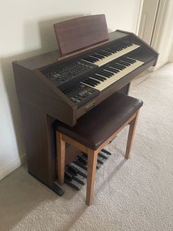 Organ