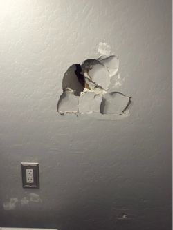 Drywall Sheetrock