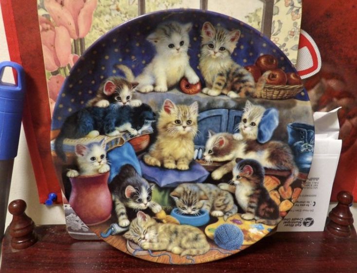 Cat Plate Set 