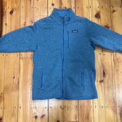 Size L patagonia full zip coler light blue 