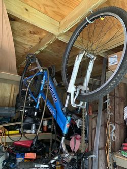 Schwinn bikes