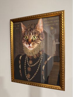 Framed Cat Photo