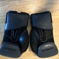Hayabusa Boxing Gloves