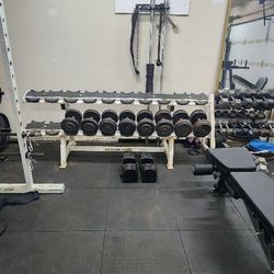 Pro Style Iron Dumbbells 