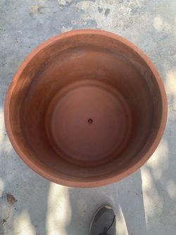 Large Plant Pot