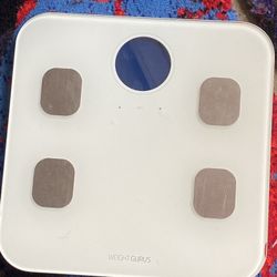 Digital Weight Scale 