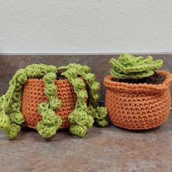 Potted Plants