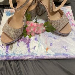 Women Shoe Size 8M