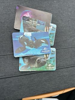 Seaworld Passes