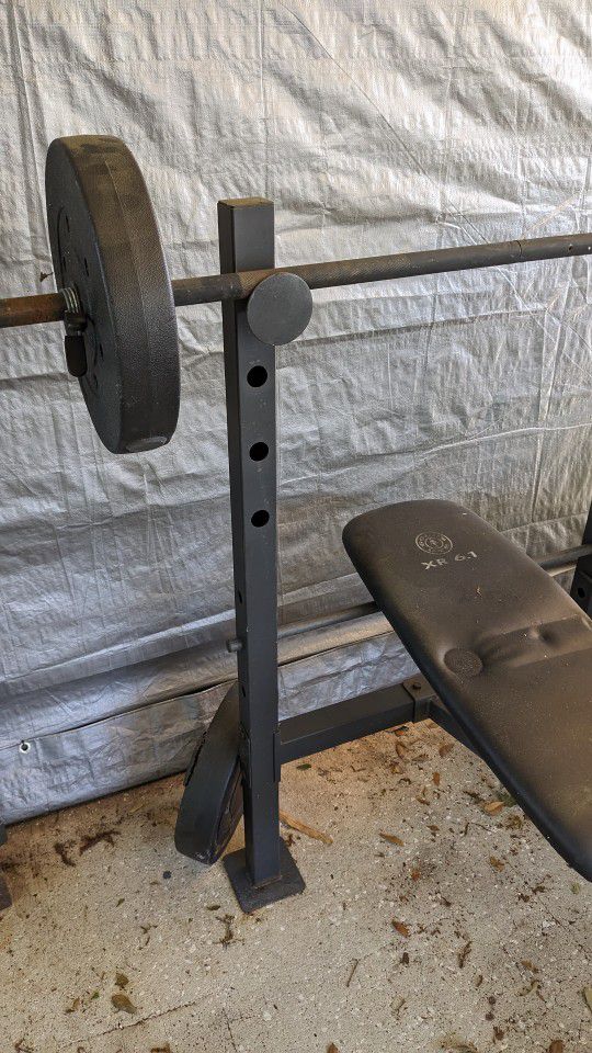 Gold's Gym Bench & Weights
