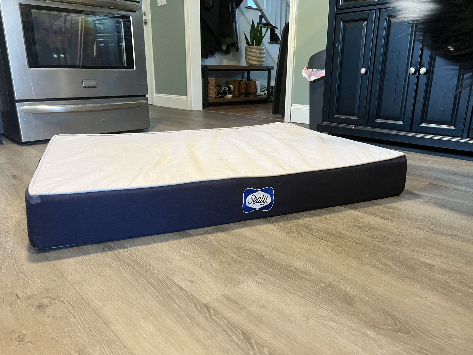 Sealy Defender Series Dog Bed - Large