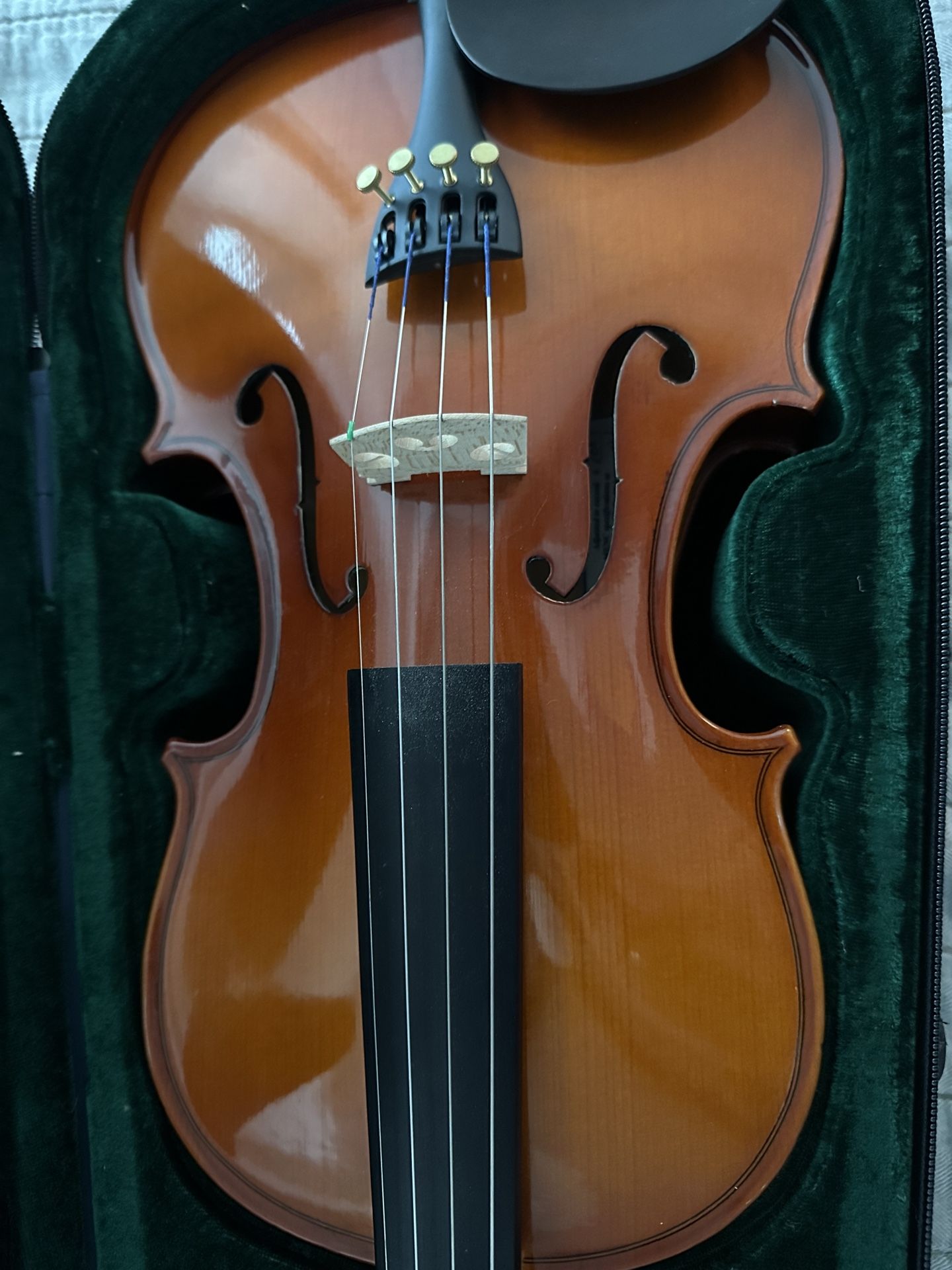 Violín