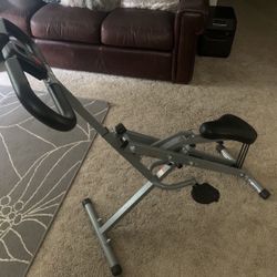 Sunny Fitness Squat Assist Row & Ride Machine