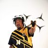 PimpHop
