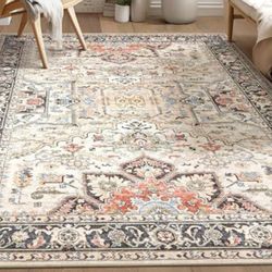 6x9 Area Rug 0839 19