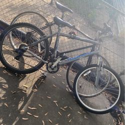 mountian bike with old fixie gen