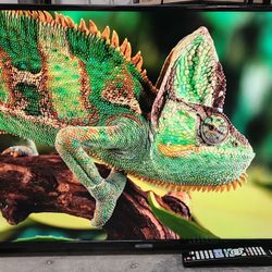43" 1080p LED Smart TV 2018