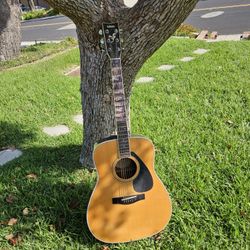 Yamaha Guitar 