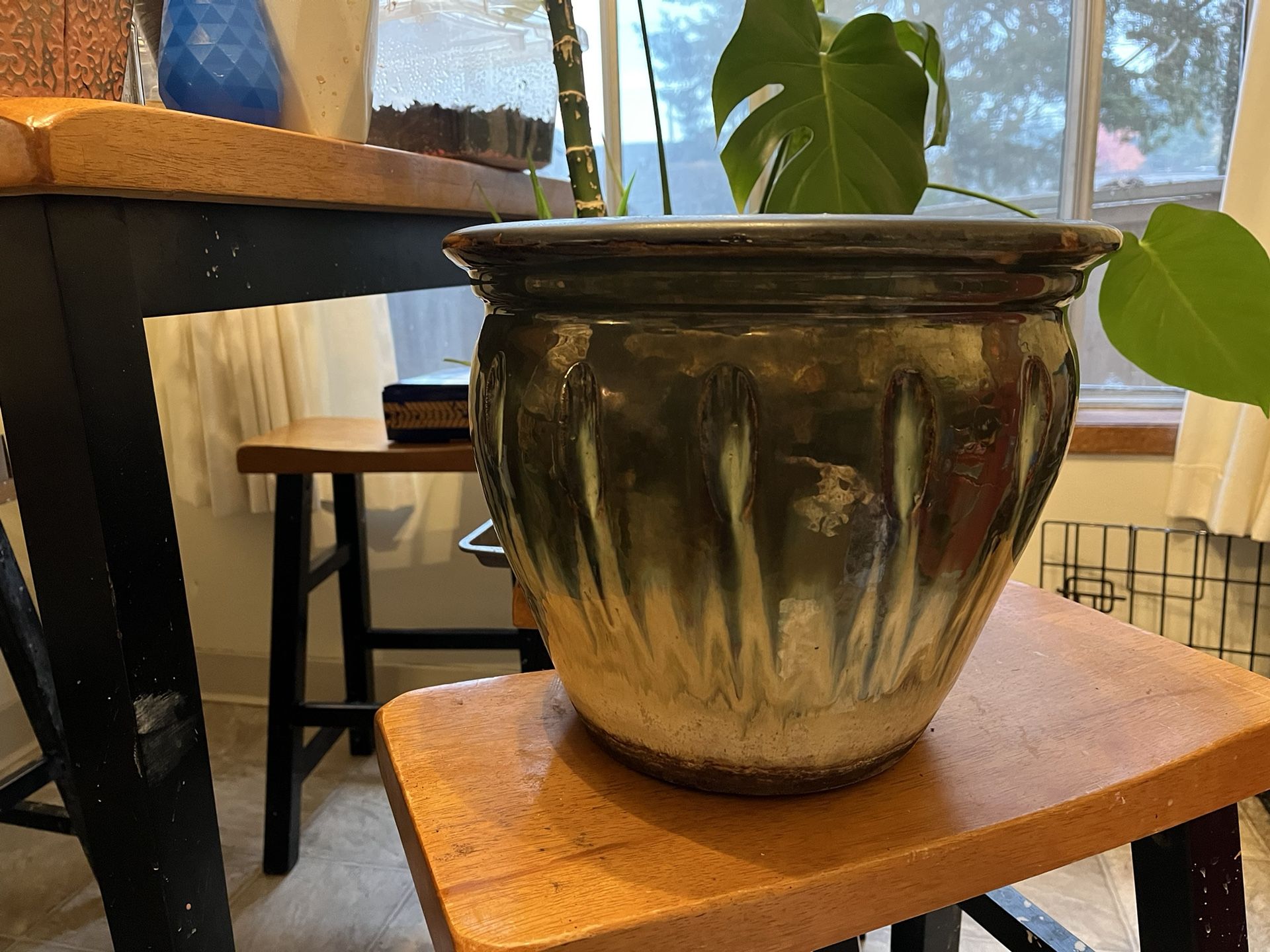 Beautiful Ceramic Plant Pot