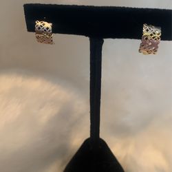 Elegant Earrings