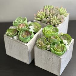Set Of 3 faux succulent Arrangements