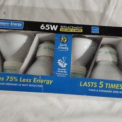 Fluorescent Light Bulbs for Can Fixtures