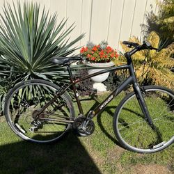 Specialized Hybrid Vita