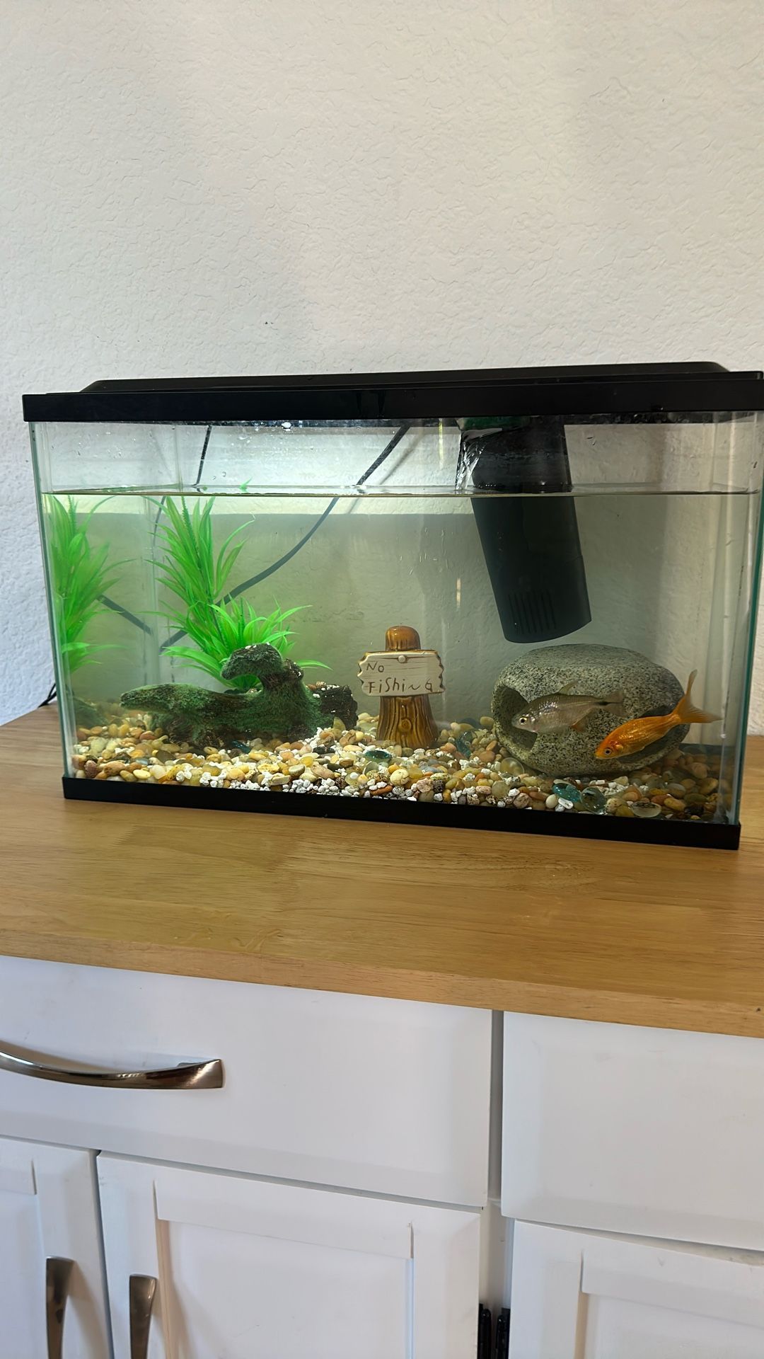 Fish Tank