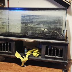 75 Gallon Aquarium with Stand