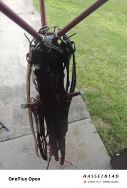 A Lot Of Cowboy Belts