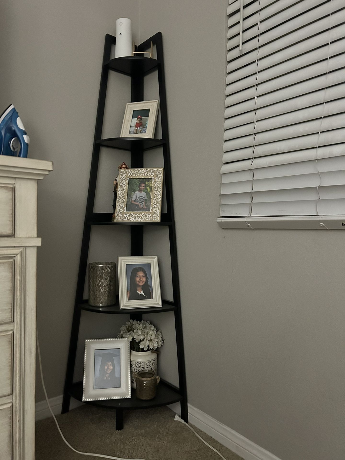 Ladder Shelf