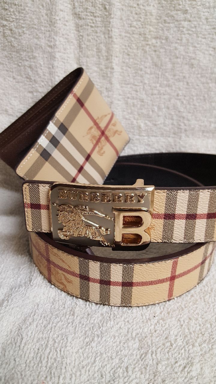 Fashionable belt and wallet