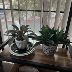 Faux Potted Plants 🪴 