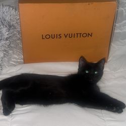 Louis Vuitton Run Away Stylish Sneakers