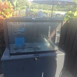 65 Gallon Aquarium And Filter 