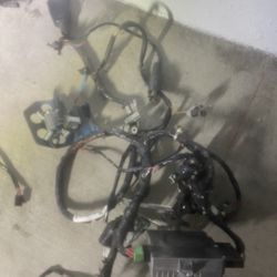 Honda Ruckus Wiring Harness