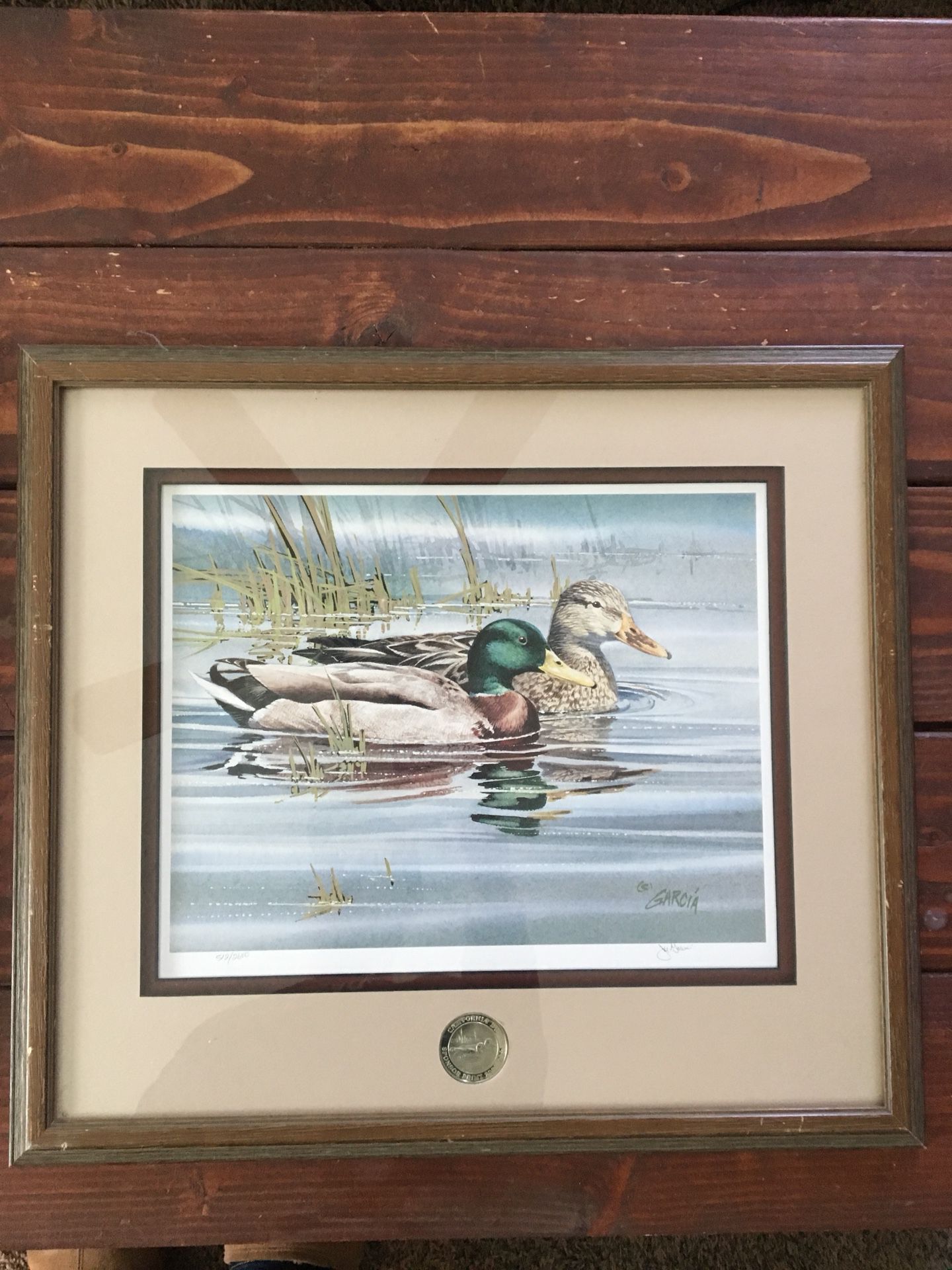 Ducks unlimited prints