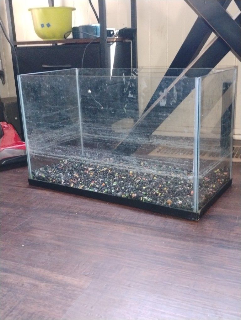 Fish Tank