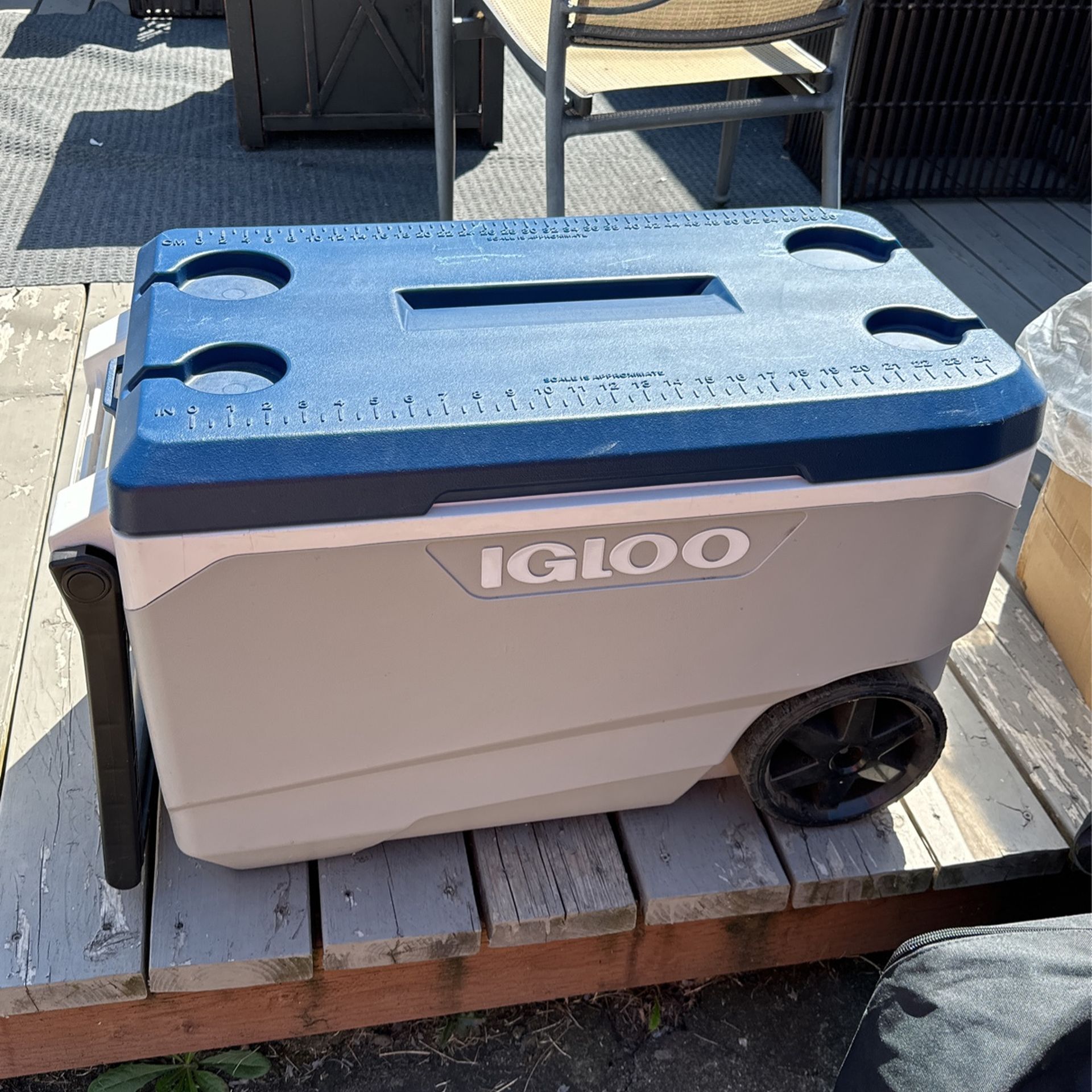 Cooler - Igloo 72 Qt Cooler With Wheels