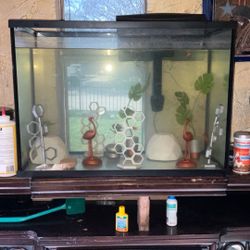 Fish Tank 